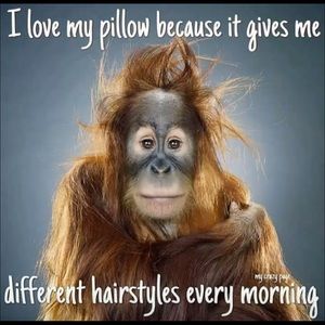 Meet your Posher, Teresa